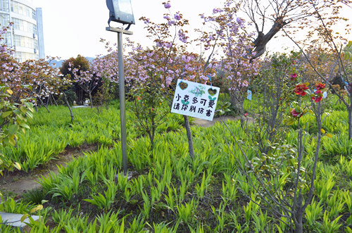 云顶yd2223线路检测举办挂树牌活动