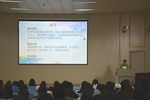 云顶yd2223线路检测召开2019届毕业生就业指导会
